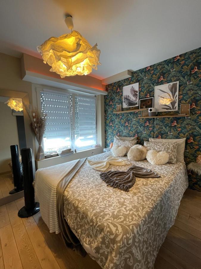 Guest Room "We Are With You In This Flat" Strazburg Dış mekan fotoğraf